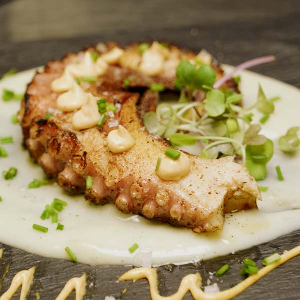 Reel gastronómico Adarraga Córdoba